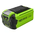 Greenworks Akku (40 V) (GR2926907)