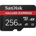 SANDISK Express-Karte (funktioniert mit Nintendo Switch 2), Micro-SD Speicherkarte, 256 GB