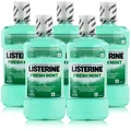 Listerine Fresh Mint 500ml - Für die tägliche Mundspülung (5er Pack )