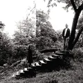 Timber Timbre [Vinyl LP]