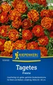 Tagetes Fiesta zweifarbig rot-gelb  Studentenblume ca. 50 Samen 1018100