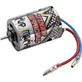 Carson Modellsport Cup Machine Automodell Brushed Elektromotor Windungen