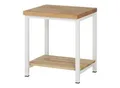 Rau Werkbank Modell 8000 mit Ablageboden BxTxH 750x900x840mm (03-8000-7-079B4S.12)