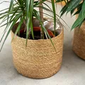 DARO DEKO Seegras Korb rund Natur Ø 38 x 35 mit Einsatz Blumentopf geflochten Aufbewahrungskorb Über-Topf Blumenkorb