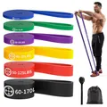 Fitness Bands, Resistance Bands Set of 6, Resistance Bands with Door Anchor, Carry Bag.Resistance Bands for Pilates (6set（Blau+Grün+Lila+Gelb+Rot+Schwarz）)