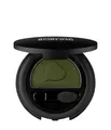 ANNEMARIE BÖRLIND PUDERLIDSCHATTEN Lidschatten 2 g DARK GREEN