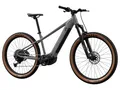 CRIVIT E-Mountainbike PEAK 709 (Gr. L (29 Zoll))