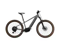 Crivit E-Bike Mountainbike Fahrrad »PEAK 709« Shimano Gr.L (29 Zoll) *besch.VP