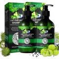 Shampoo 3-in-1 mit Rizinusöl Amlaöl Schwarzkümmelöl Kopfhaut Pflege Haarwachstum, 2x 300ml