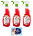 3er-Pack Chanteclair Vert Ecodetergente Multiuso Aceto,Mehrzweck Ökowaschmittel mit Himbeeressig,625ml + 1er-Pack Kostenlos Felce Azzurra Talkumpuder, 100g-Beutel