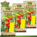 Florissa 3 Pack à 7 Stück Gelbtafeln Trauermücke Weiße Fliege Minierfliege