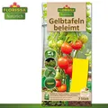 Florissa 1 Pack à 7 Stück Gelbtafeln Trauermücke Weiße Fliege Minierfliege