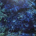Ichiko Aoba / LUMINESCENT CREATURES (LP) / Pias, Hermine / 39158141 / LP