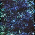 Ichiko Aoba - Luminescent Creatures Black Vinyl Edition (2025 - UK - Original)