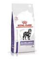 Royal Canin Mature Consult Large Dog 14kg Hundefutter Senior große Hunde