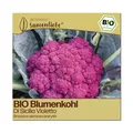 BIO Blumenkohl Samen Sorte Di Sicilia Violetto Gemüsesamen BIO Gemüse Saatgut sa