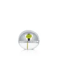 DKNY Donna Karan Be Delicious Eau De Toilette 30 ml (woman)