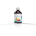Casa Sana Darmreinigung Kids Flüss.z.Einnehmen 500 ml