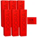 Schwarzkopf Igora Royal 6 x 60 ml 8-46 hellblond beige schoko Haarfarbe Cremefar