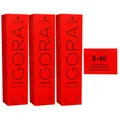 Schwarzkopf Igora Royal 3 x 60 ml 8-46 hellblond beige schoko Haarfarbe Cremefar