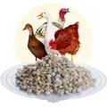 Avesgran Geflügelgrit/Magenkies 4-8 mm 25 kg, Magengrit zum Picken, reines Naturprodukt, Futterergänzung, beugt Magenverstopfung vor, für Großgeflügel, Gänse, Puten