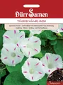 Trichterwinde Seta weiß mit rosa Zeichnung 250 cm Saatgut von Dürr-Samen