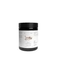 Pilze Wohlrab - Bio Shiitake Pilze Pulver, 100 g, Reines Shitake Pilz Pulver, Vitalpilze, Höchste Bio-Qualität, 1 Dose