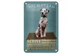 Blechschild Spruch 12x18 cm Dalmatian Hund active and easy Deko Schild