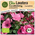Lavatera Samen (BIO) - 100 Samen Blumensamen Bechermalve Buschmalve