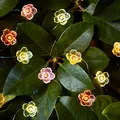 Lights4fun 20er LED Micro Lichterkette Rosen warmweiß Timer Batterie Innen- und Außenbeleuchtung Deko Blumen Lichterkette Innen Lichterkette Außen [Energieklasse ]