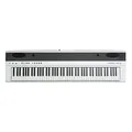 Fame SP-2 BW Stagepiano, 88 Tasten Hammermechanik, 192 Stimmen, 2x 20 Watt Stereo Lautsprecher, 25 Sounds, 50 Begleitrhythmen