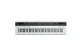 FAME Stagepiano (SP-2 BW Stagepiano 88 Tasten Hammermechanik 192 Stimmen 2x 20 Watt Stereo Lautsprecher 25 Sounds 50 Begleitrhythmen, Stage Pianos, Stage Pianos Hammermechanik), SP-2 BW Stagepiano, Hammermechanik, 192 Stimmen, Stagepiano 88
