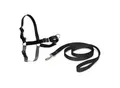 Easy Walk Anti-Zieh-Hundegeschirr schwarz XL