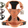 FREUDENTIER Hundegeschirr mit Mesh-Polsterung - Höchster Komfort, bombenfester Sitz & maximale Sicherheit - Anti-Zug-Frontring - Brustgeschirr für große, mittelgroße und kleine Hunde (Orange, XS)
