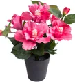 Botanic-Haus Kunstblume "Hibiskus im Topf", pink, Ø/H: 20cm x 27cm, 1 Stk.