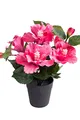 Nova-Nature künstlicher Hibiskus mit 5 Blütenköpfen im schwarzen Kunststofftopf (pink)