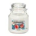 HI Kerze Granatapfel-Kokosnuss 340 g