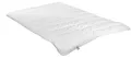 Irisette Sale Microfaserbettdecke Jette, Füllung: Markenhohlfaser irisette® Fill - 100% Polyester, Bezug: angenehm weich, Deutsches Markenprodukt, erhältlich in 4 Wärmeklassen