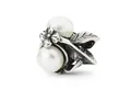 Trollbeads Bead Verborgene Schönheit, TAGBE-00287