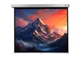 celexon Leinwand Rollo Professional Plus 160 x 120 cm - 79"