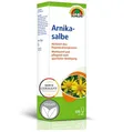 Sunlife Arnikasalbe 100ml Hautschutz und Pflege
