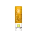 GREENDOOR Lippenbalsam Honig