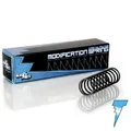 Blasterparts - Tuning-Feder passend für Nerf N-Strike Spectre REV-5 - Dartblaster Modding für Mehr Reichweite und Schnelle Darts – Blaster-Zubehör