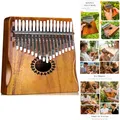 Kalimba 17 Tasten Musikinstrument Kinder Erwachsene Anf