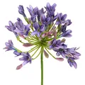 Agapanthus Kunstblumen Lila 75cm 2 St. Dekoration, 2 Stück
