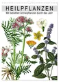 Heilpflanzen (Wandkalender 2025 DIN A3 hoch), CALVENDO Monatskalender Reek 2025