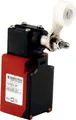Bernstein Grenztaster TI2SU1ZAH#6088185022