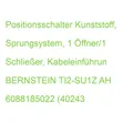 TI2-SU1Z AH BERNSTEIN 6088185022 (4024337023736)