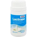 LACTRASE 1.500 FCC Kapseln 100 St PZN09175787