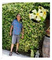 BALDUR Garten 1x Winterharter Jasmin 'Star of Toscane®' duftend, Pflanze im 9x9 cm-Topf, Trachelospermum jasminoides, pflegeleicht, blühend, immergrün, winterharte Kletterpflanze, lange Blütezeit